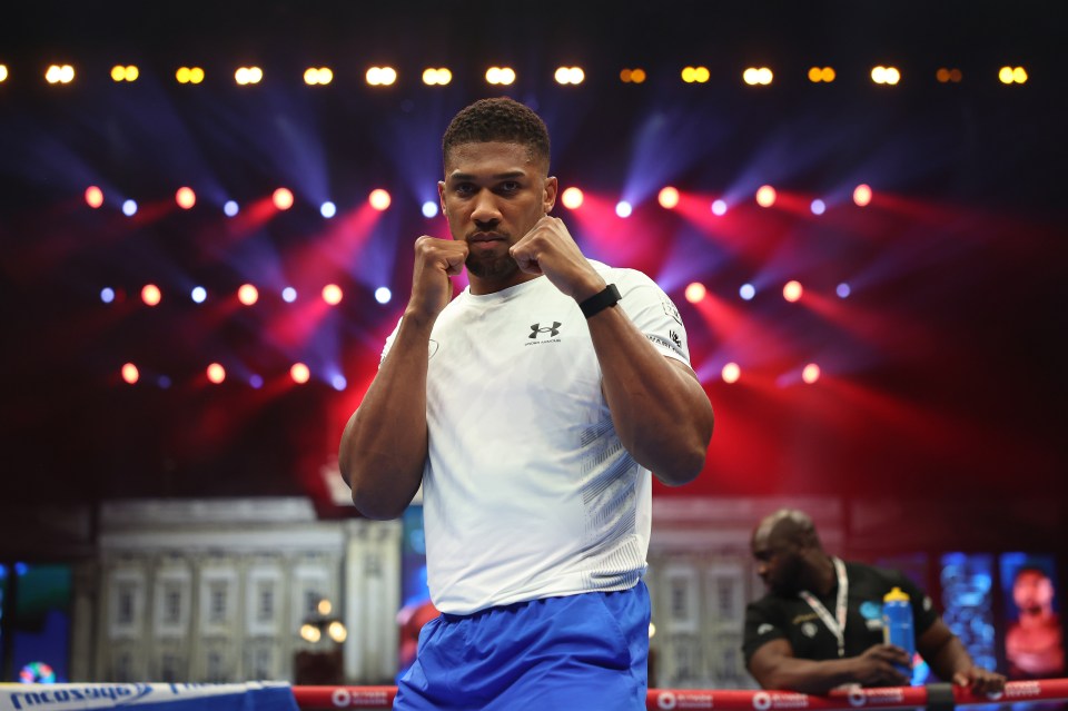 Joshua is expected to return later in 2025 after losing to Dubois